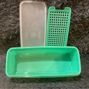 Vintage Tupperware 782-4 Jadeite Green Celery Vegetable Keeper 3pc Set Clear Lid